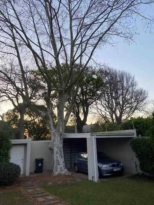 Daire Cozy 1Br Cottage Near Cavendish & Newlands Cape Town